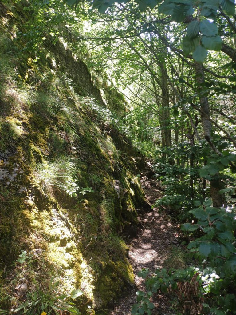 Entorno de Valporquero el Calar de los Fraños