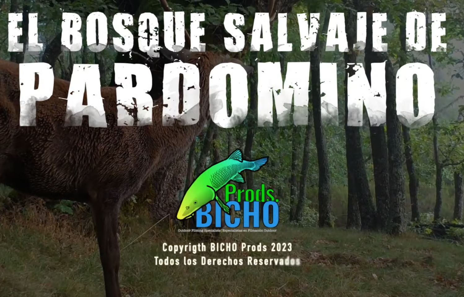 El bosque salvaje Pardomino por Bicho Producciones